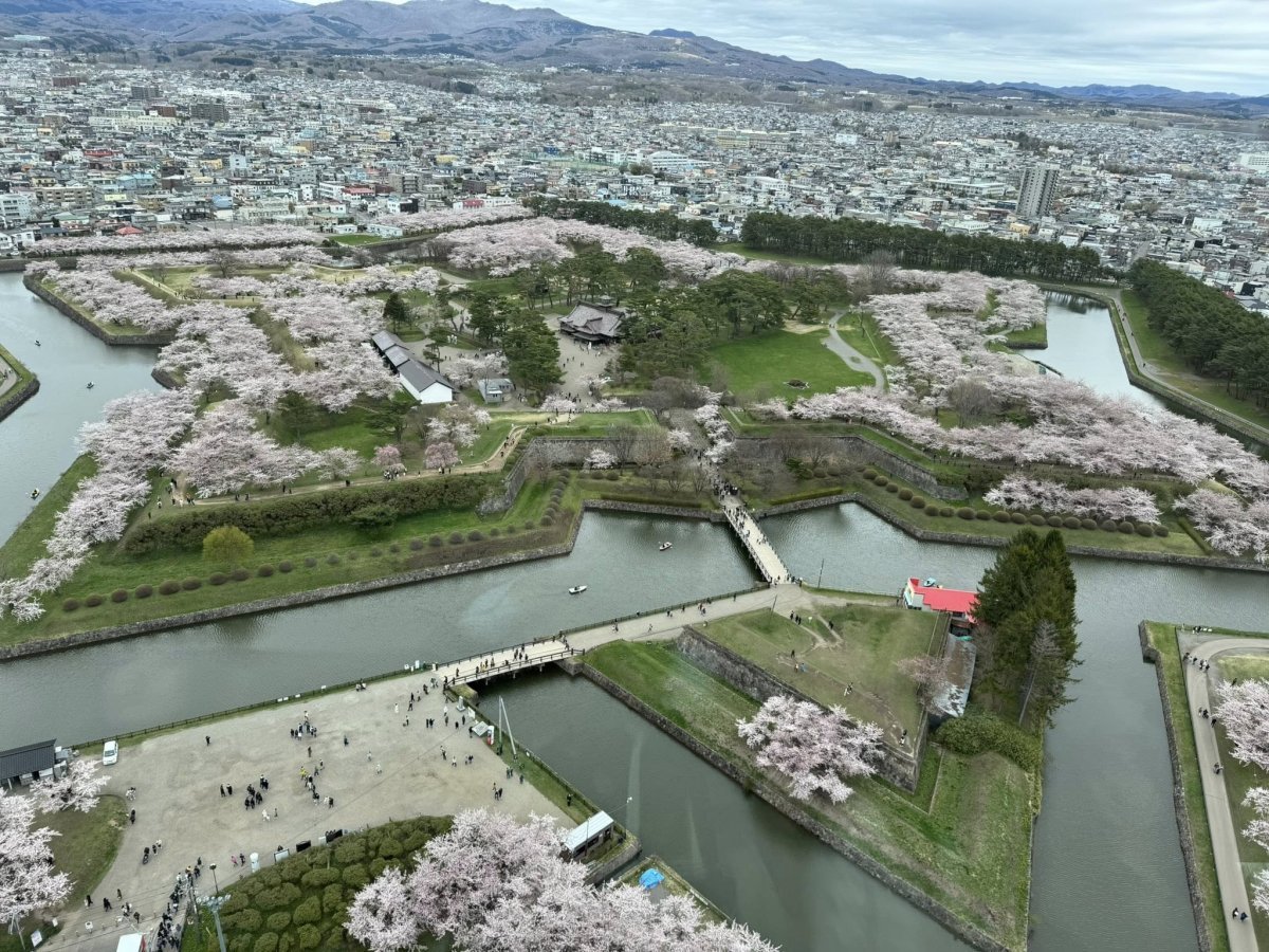 五稜郭タワーより撮影